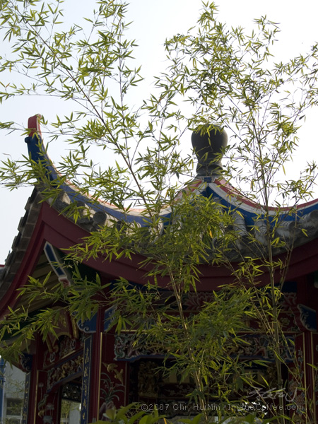 Bamboo And The Pavilion, Chinese Pleasance.