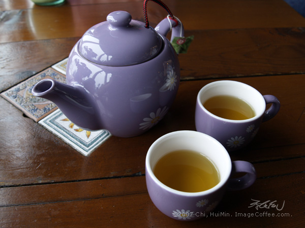 Violet Teapot