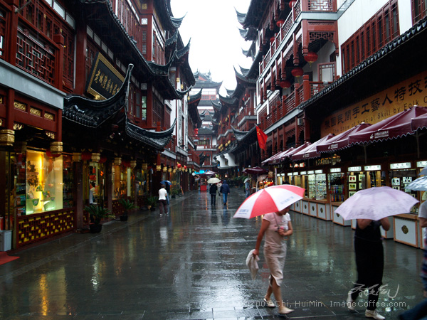 A Rainny Day in Shanghai 上海，雨中午後