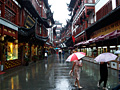 A Rainny Day in Shanghai 上海，雨中午後