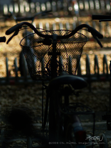 Bicycle Shadow 單車剪影