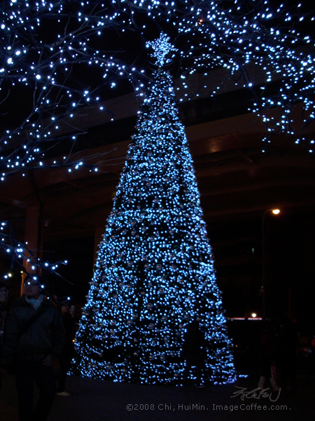 Christmas Tree Today 今日聖誕樹