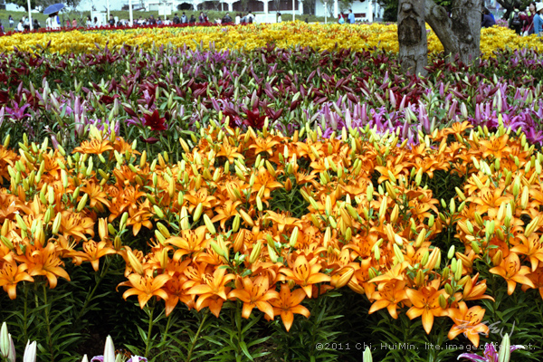 Taipei International Flora Exposition